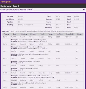 WinnersBet Form Guide